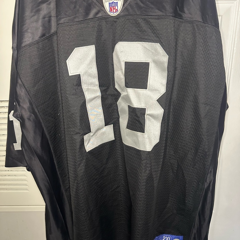 NFL Randy Moss Jersey - Picture 3 of 3